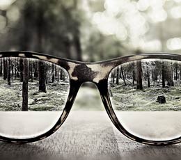 The Difference Between Positions in Search Engine Result Pages